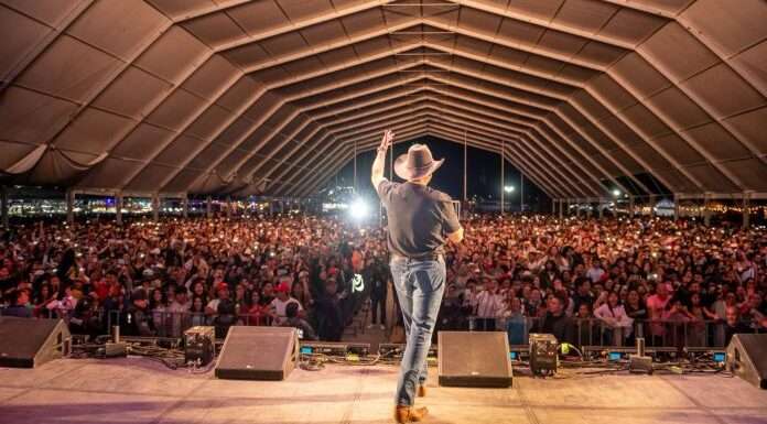 Tipos de espectáculos culturales más solicitados en ferias y festivales