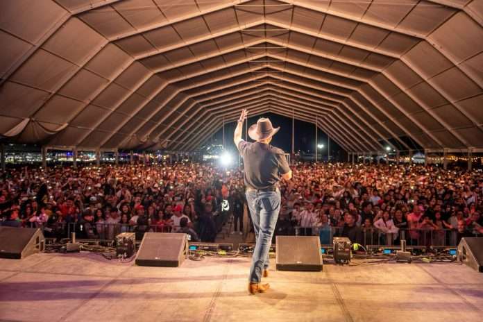 Tipos de espectáculos culturales más solicitados en ferias y festivales